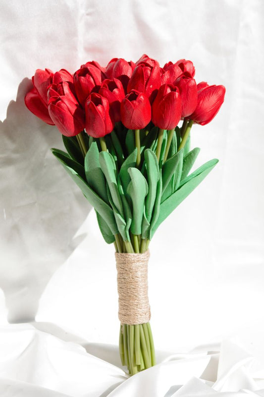 Red Tulips