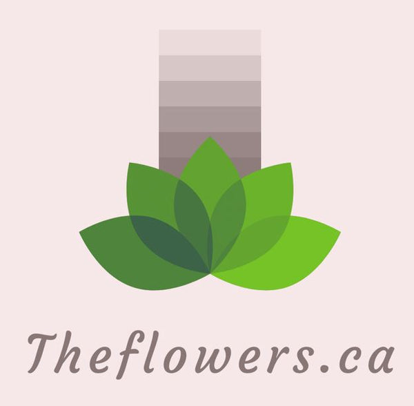 Theflowers.ca